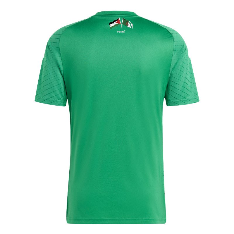 Maillot Algerie Palestine 2023 Vert Brillant